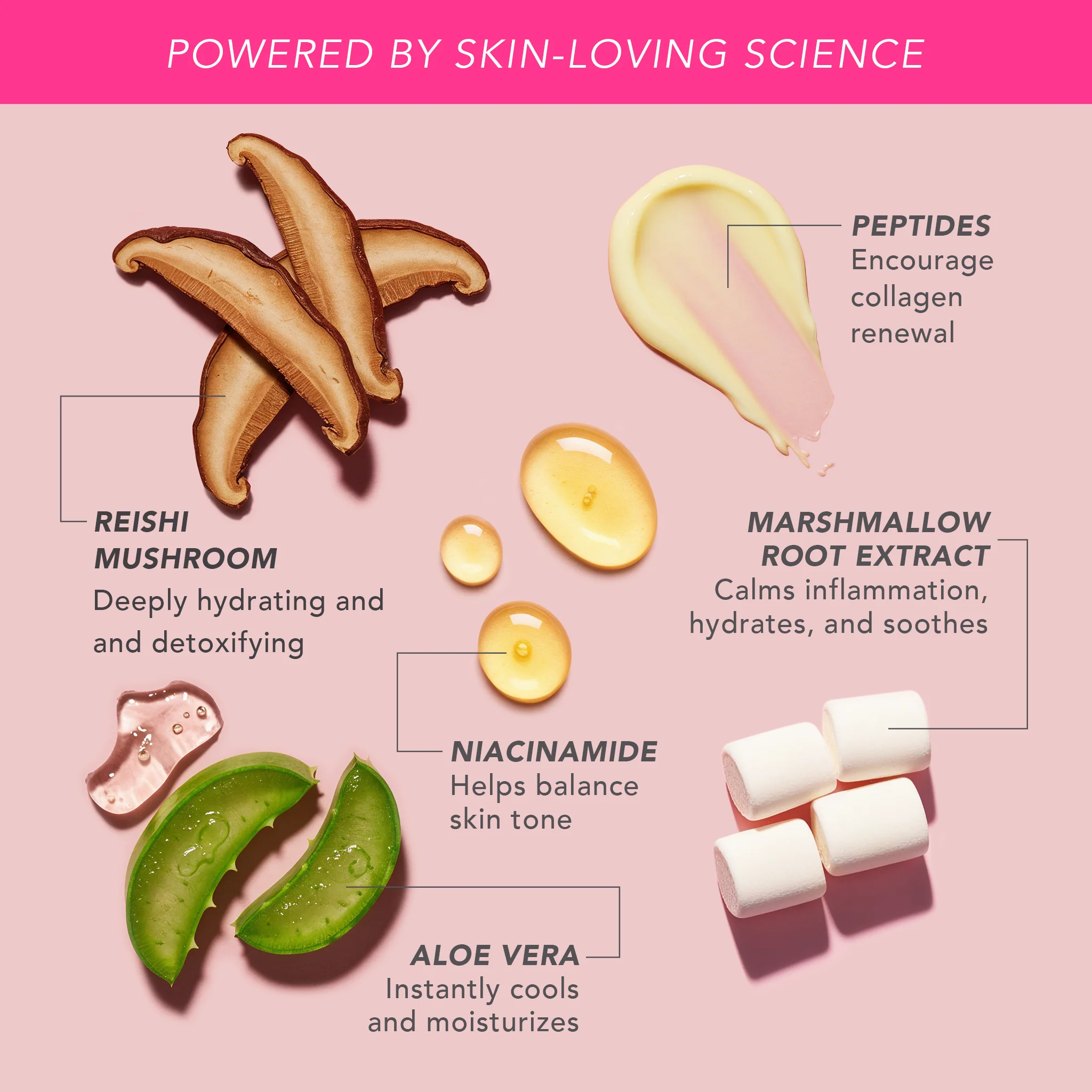 Peptide Bounce Flexible Foundation with Marshmallow Extract - Image 4